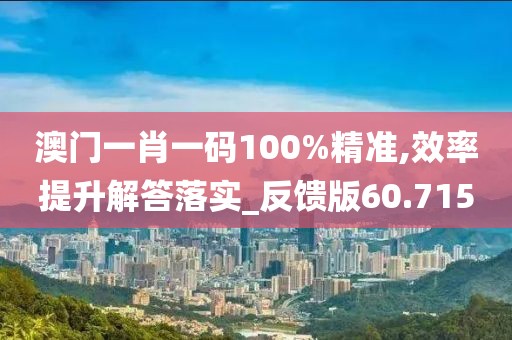 澳门一肖一码100%精准,效率提升解答落实_反馈版60.715