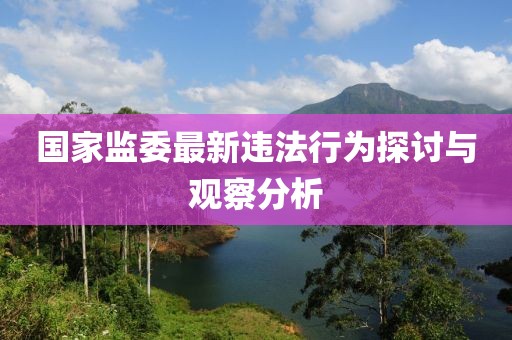 国家监委最新违法行为探讨与观察分析
