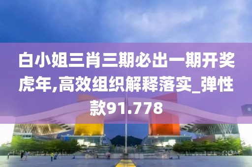 白小姐三肖三期必出一期开奖虎年,高效组织解释落实_弹性款91.778