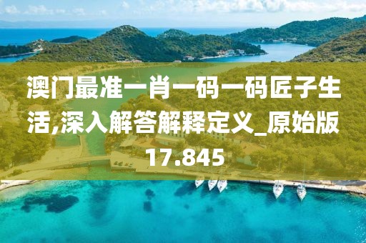 澳门最准一肖一码一码匠子生活,深入解答解释定义_原始版17.845