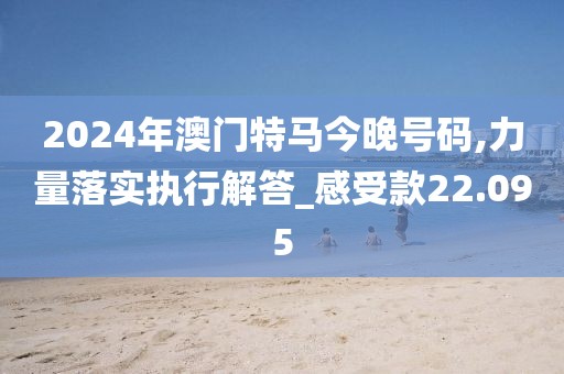 2024年澳门特马今晚号码,力量落实执行解答_感受款22.095