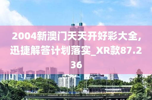 2004新澳门天天开好彩大全,迅捷解答计划落实_XR款87.236