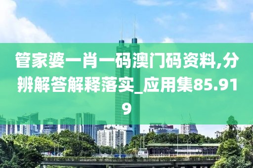 管家婆一肖一码澳门码资料,分辨解答解释落实_应用集85.919