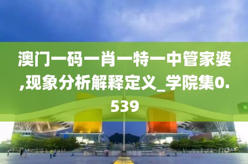 澳门一码一肖一特一中管家婆,现象分析解释定义_学院集0.539