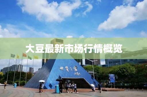 大豆最新市场行情概览