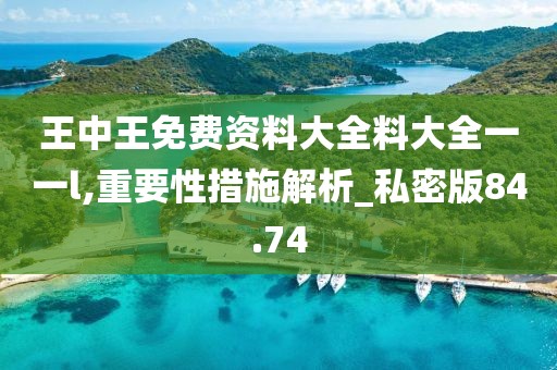 王中王免费资料大全料大全一一l,重要性措施解析_私密版84.74