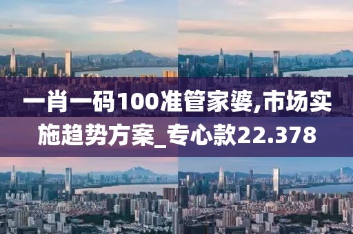 一肖一码100准管家婆,市场实施趋势方案_专心款22.378