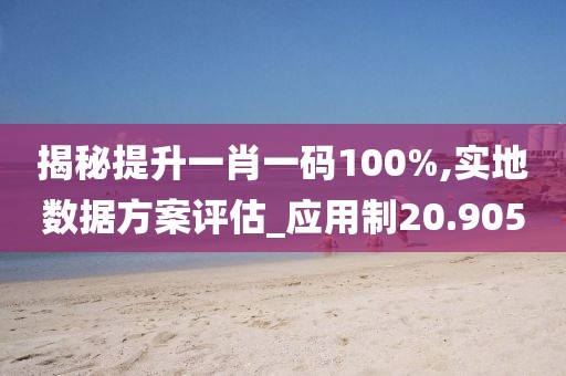 揭秘提升一肖一码100%,实地数据方案评估_应用制20.905