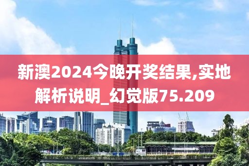 新澳2024今晚开奖结果,实地解析说明_幻觉版75.209