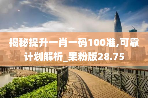 揭秘提升一肖一码100准,可靠计划解析_果粉版28.75