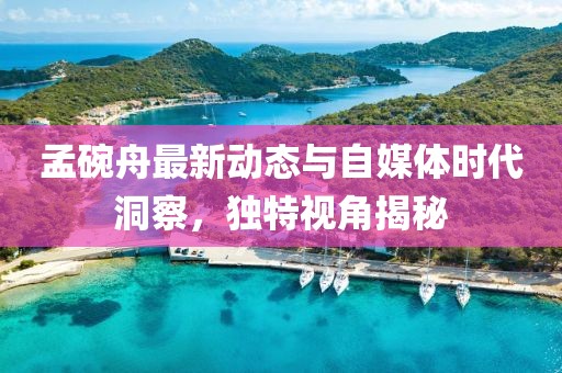 孟碗舟最新动态与自媒体时代洞察，独特视角揭秘