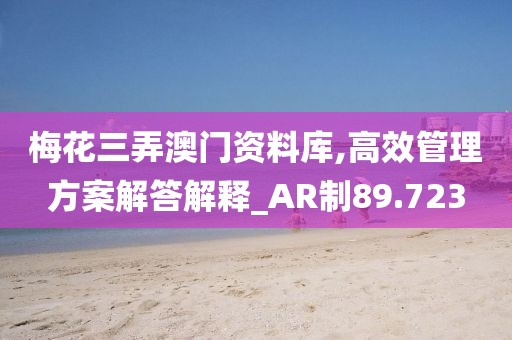 梅花三弄澳门资料库,高效管理方案解答解释_AR制89.723