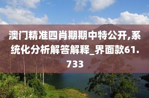 澳门精准四肖期期中特公开,系统化分析解答解释_界面款61.733