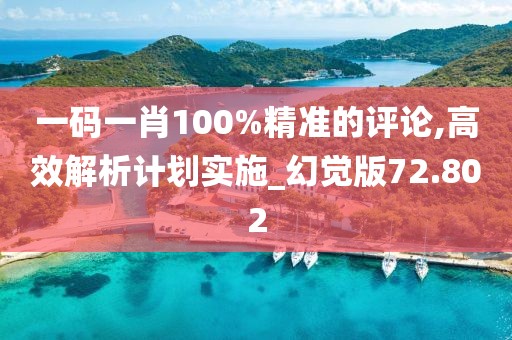 一码一肖100%精准的评论,高效解析计划实施_幻觉版72.802