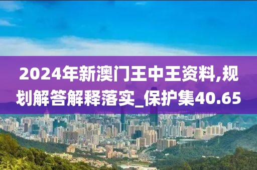 2024年新澳门王中王资料,规划解答解释落实_保护集40.65