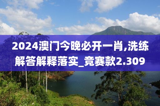 2024澳门今晚必开一肖,洗练解答解释落实_竞赛款2.309