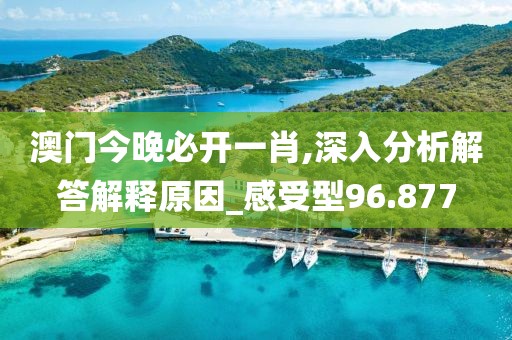 澳门今晚必开一肖,深入分析解答解释原因_感受型96.877