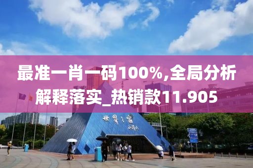 最准一肖一码100%,全局分析解释落实_热销款11.905