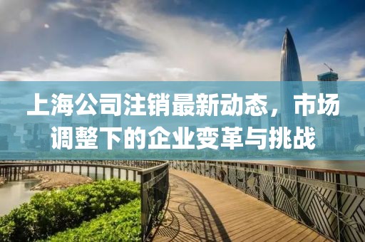 上海公司注销最新动态，市场调整下的企业变革与挑战