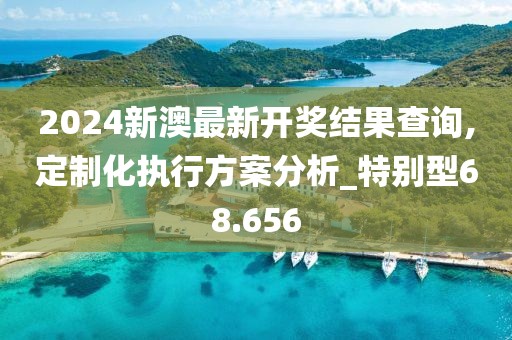 2024新澳最新开奖结果查询,定制化执行方案分析_特别型68.656