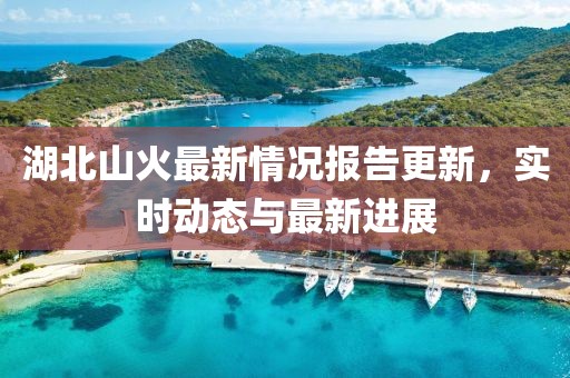 湖北山火最新情况报告更新，实时动态与最新进展