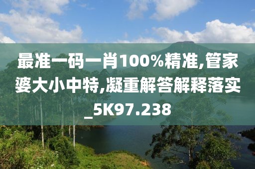 最准一码一肖100%精准,管家婆大小中特,凝重解答解释落实_5K97.238