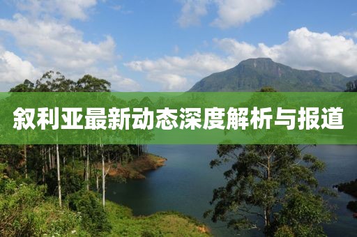 叙利亚最新动态深度解析与报道