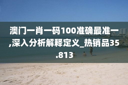 澳门一肖一码100准确最准一,深入分析解释定义_热销品35.813