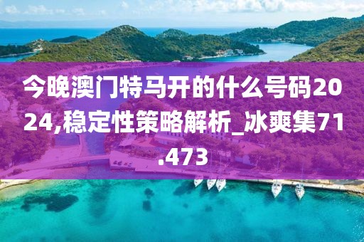 今晚澳门特马开的什么号码2024,稳定性策略解析_冰爽集71.473