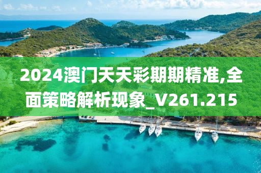 2024澳门天天彩期期精准,全面策略解析现象_V261.215