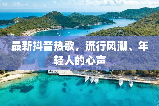 最新抖音热歌，流行风潮、年轻人的心声