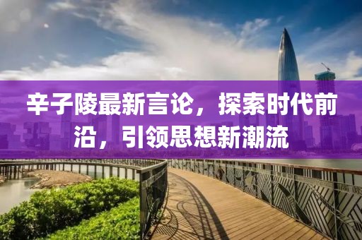 辛子陵最新言论，探索时代前沿，引领思想新潮流