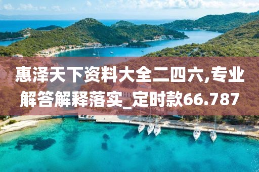 惠泽天下资料大全二四六,专业解答解释落实_定时款66.787