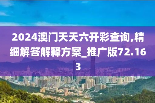 2024澳门天天六开彩查询,精细解答解释方案_推广版72.163