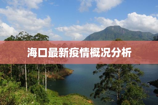 海口最新疫情概况分析