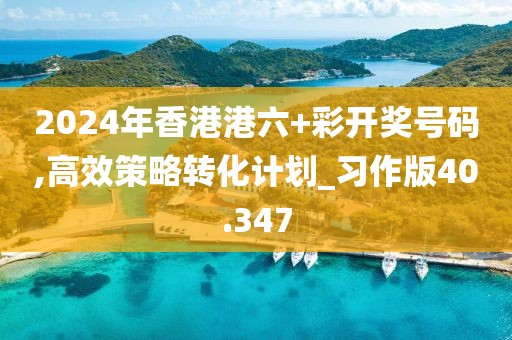 2024年香港港六+彩开奖号码,高效策略转化计划_习作版40.347
