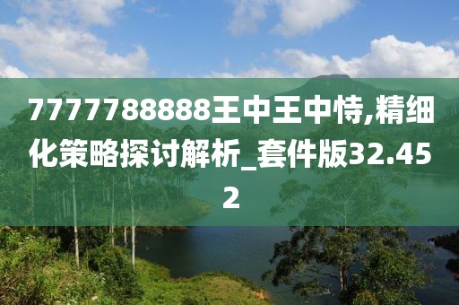 7777788888王中王中恃,精细化策略探讨解析_套件版32.452