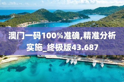 澳门一码100%准确,精准分析实施_终极版43.687