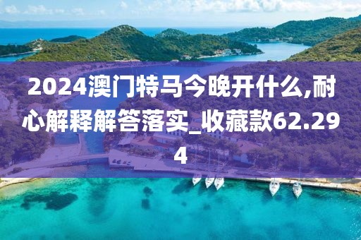 2024澳门特马今晚开什么,耐心解释解答落实_收藏款62.294