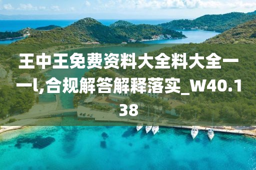 王中王免费资料大全料大全一一l,合规解答解释落实_W40.138