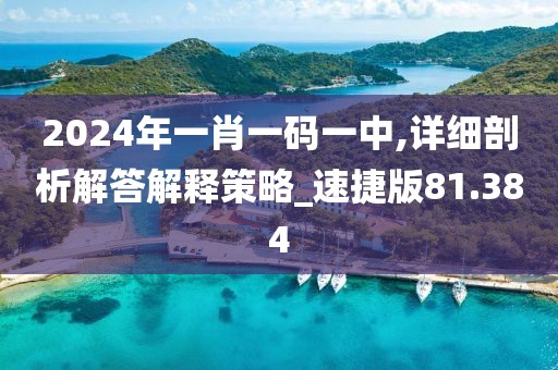 2024年一肖一码一中,详细剖析解答解释策略_速捷版81.384