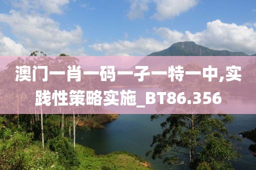 澳门一肖一码一孑一特一中,实践性策略实施_BT86.356