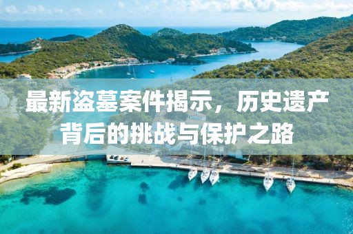 最新盗墓案件揭示，历史遗产背后的挑战与保护之路