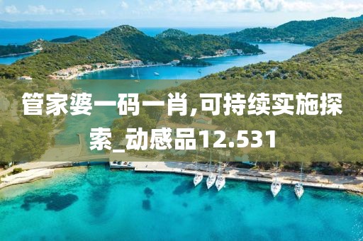 管家婆一码一肖,可持续实施探索_动感品12.531