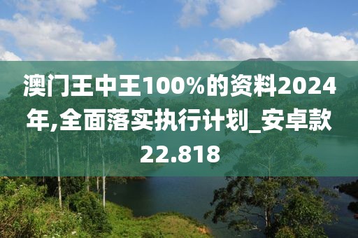 澳门王中王100%的资料2024年,全面落实执行计划_安卓款22.818