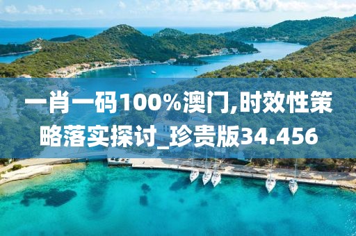 一肖一码100%澳门,时效性策略落实探讨_珍贵版34.456