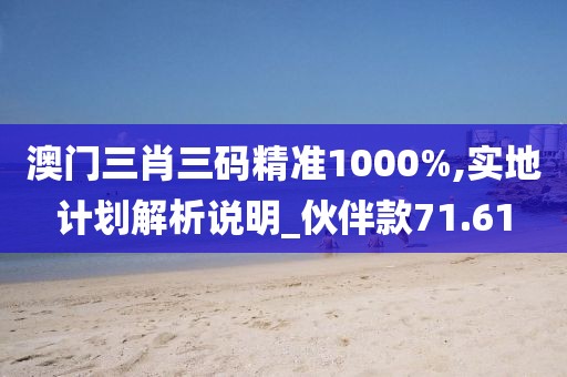 澳门三肖三码精准1000%,实地计划解析说明_伙伴款71.61