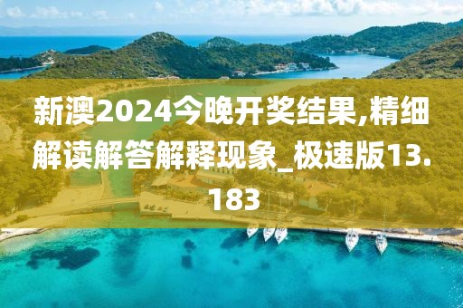 新澳2024今晚开奖结果,精细解读解答解释现象_极速版13.183