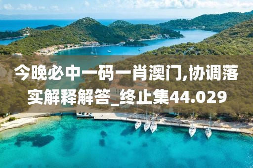 今晚必中一码一肖澳门,协调落实解释解答_终止集44.029