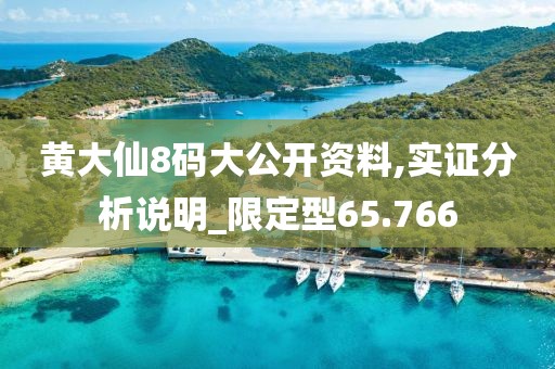 黄大仙8码大公开资料,实证分析说明_限定型65.766